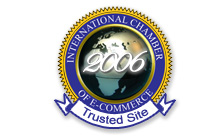 Learn more about our amazing online business opportunity by using our business website design.